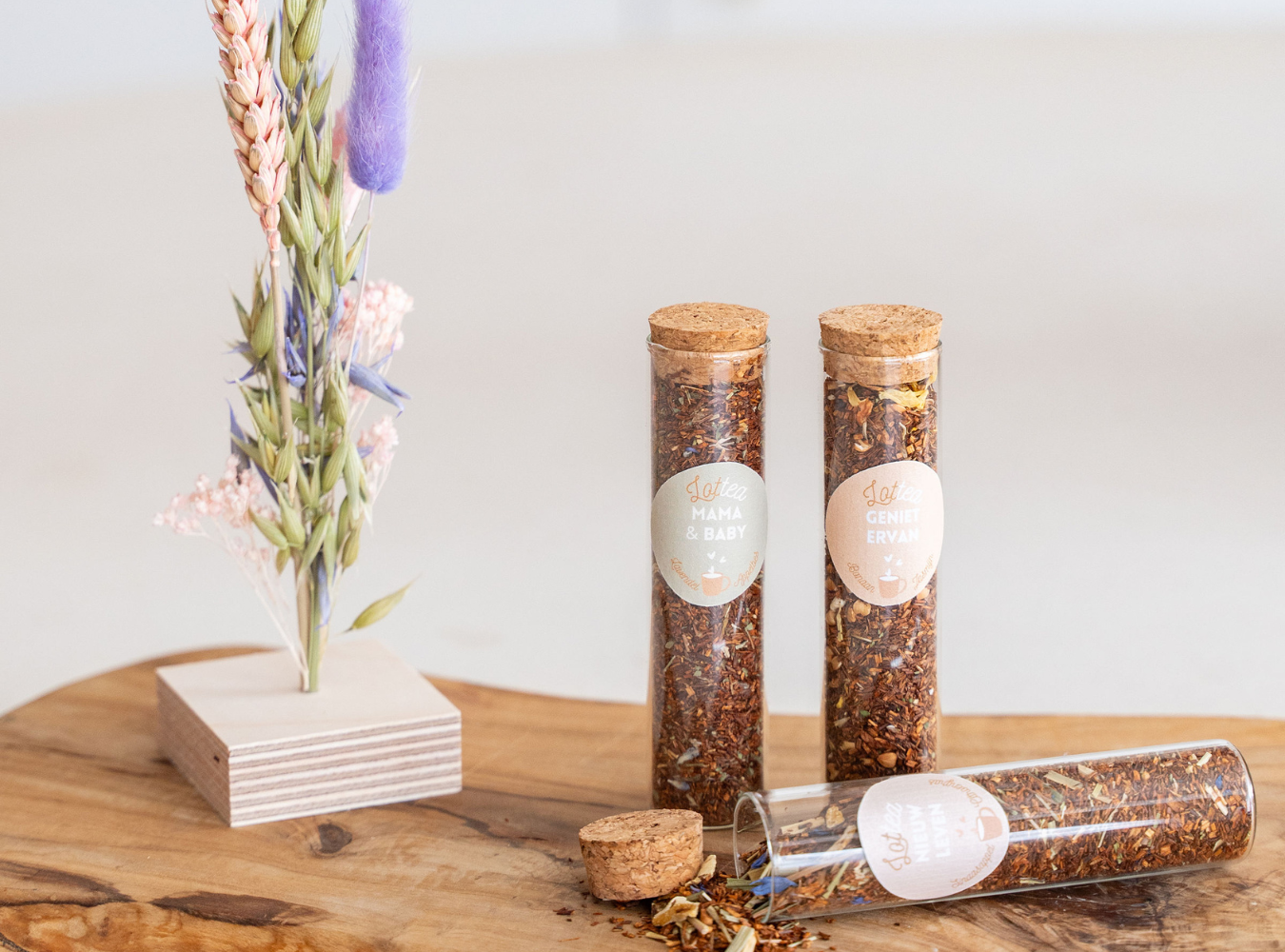 Ontwerp zonder titel - 2026-02-02T205826.291